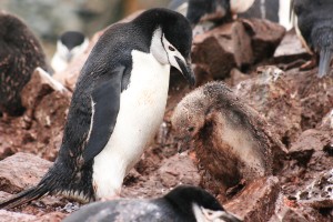 Klik hier voor meer...